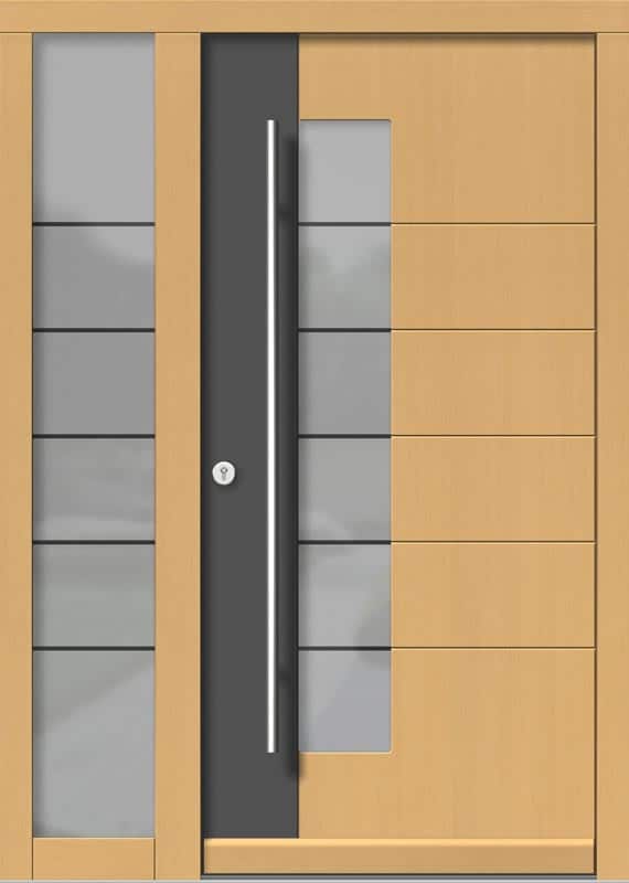 doors-haustuer-H111+ST_V